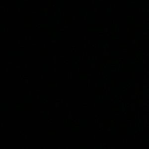 Meet your Posher, Pearl